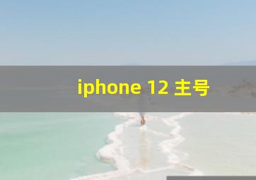 iphone 12 主号